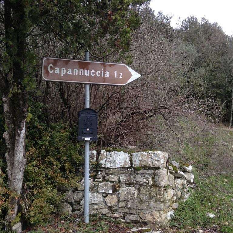 Villa Capannuccia Castellina in Chianti Ngoại thất bức ảnh