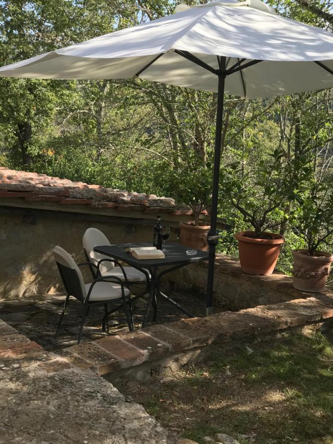 Villa Capannuccia Castellina in Chianti Ngoại thất bức ảnh